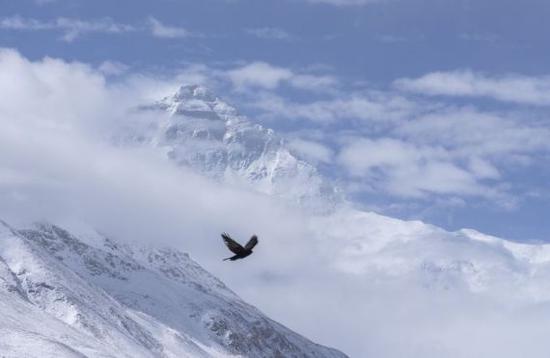 图为被霏霏苦衷的珠峰（5月27日摄）。新华社记者洛登 摄